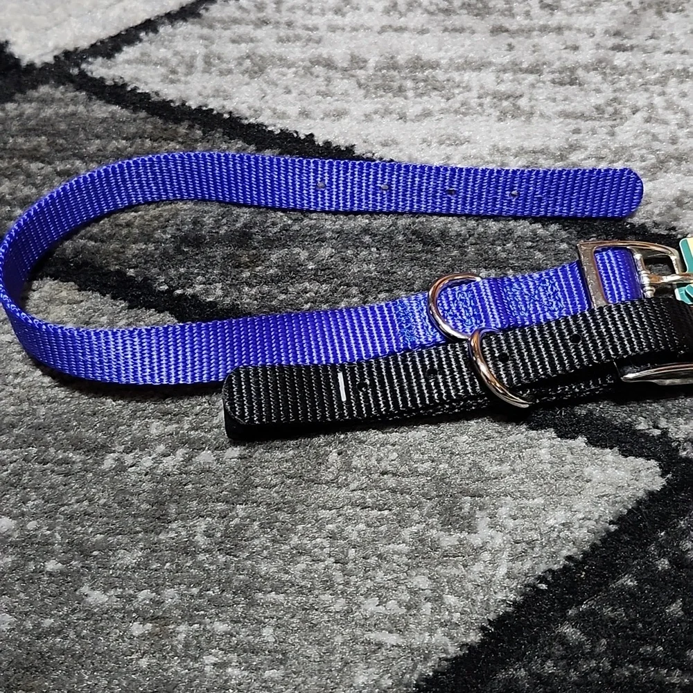 FAMILY PET SET-OF-3 NYLON 5/8